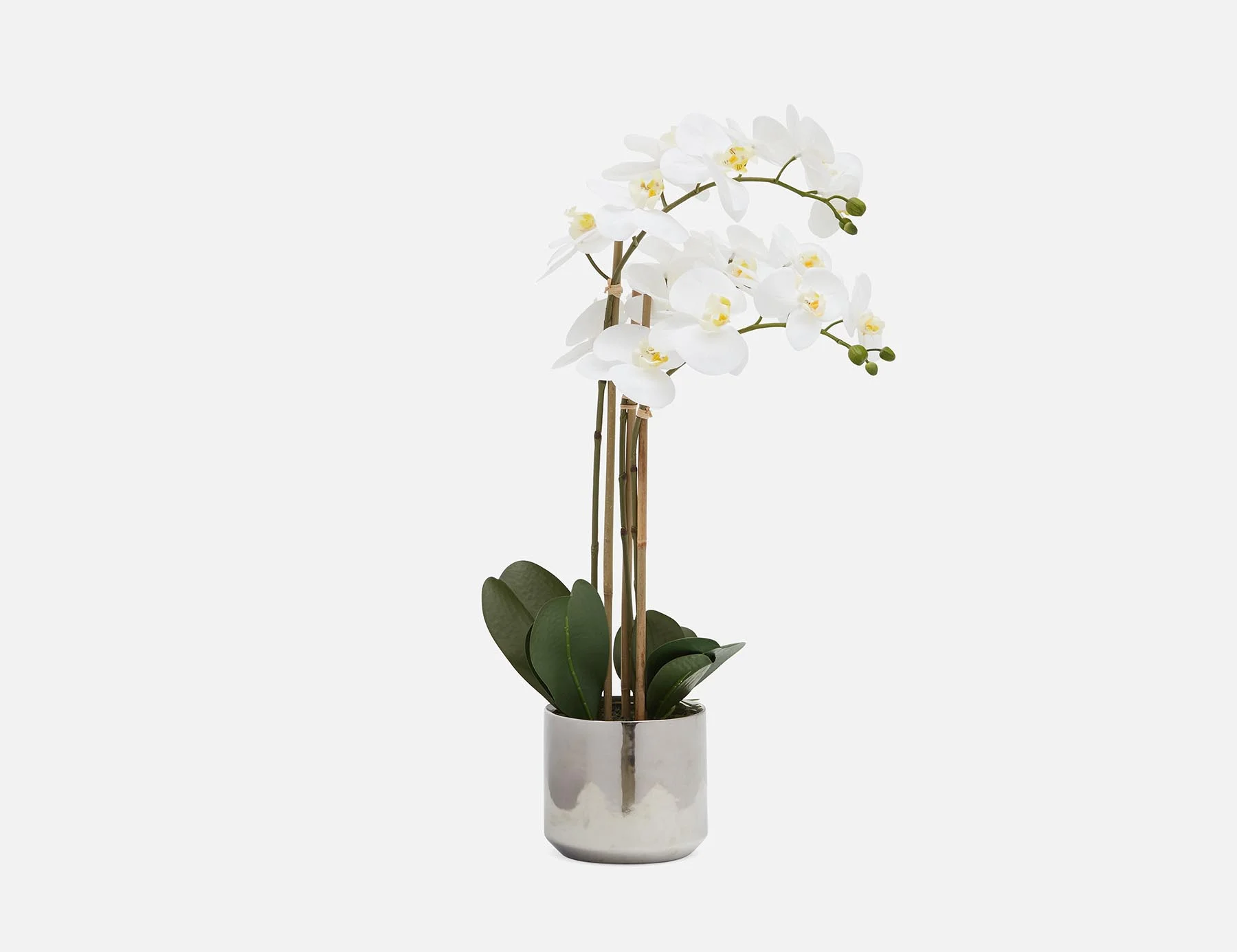 ORCHID — Artificial potted plant 63 cm