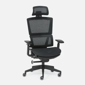 ERGO — Ergonomic office chair