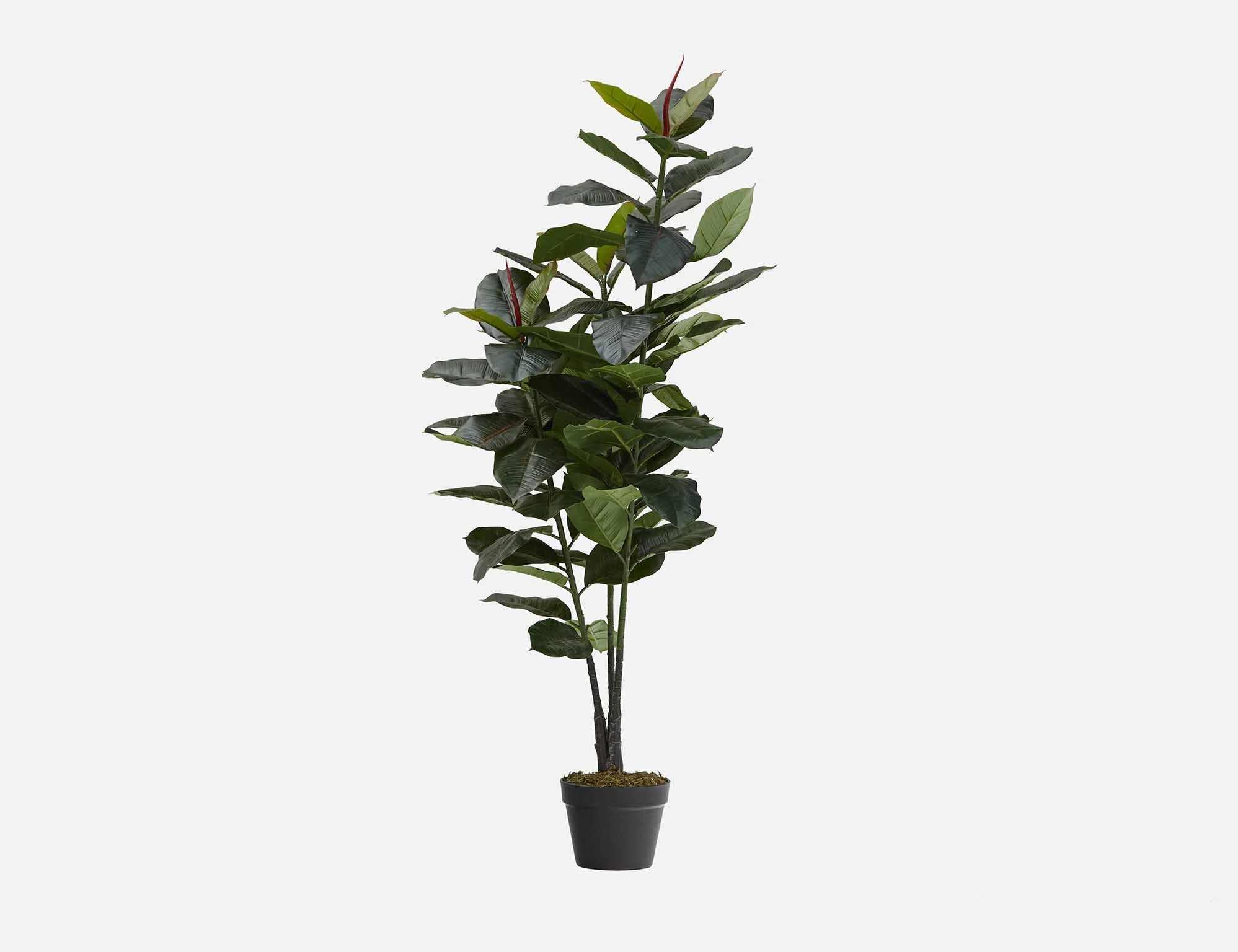 FICUS ELASTICA — Artificial potted plant 130 cm - Image 6