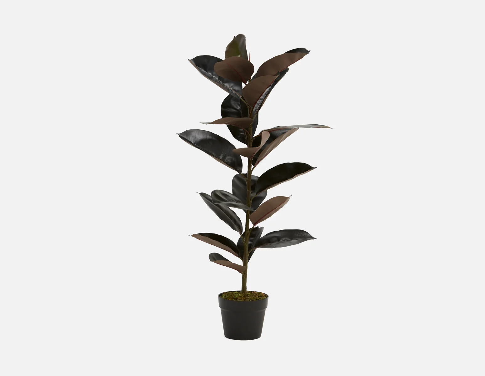 FAY — Artificial potted plant 90 cm - Image 5
