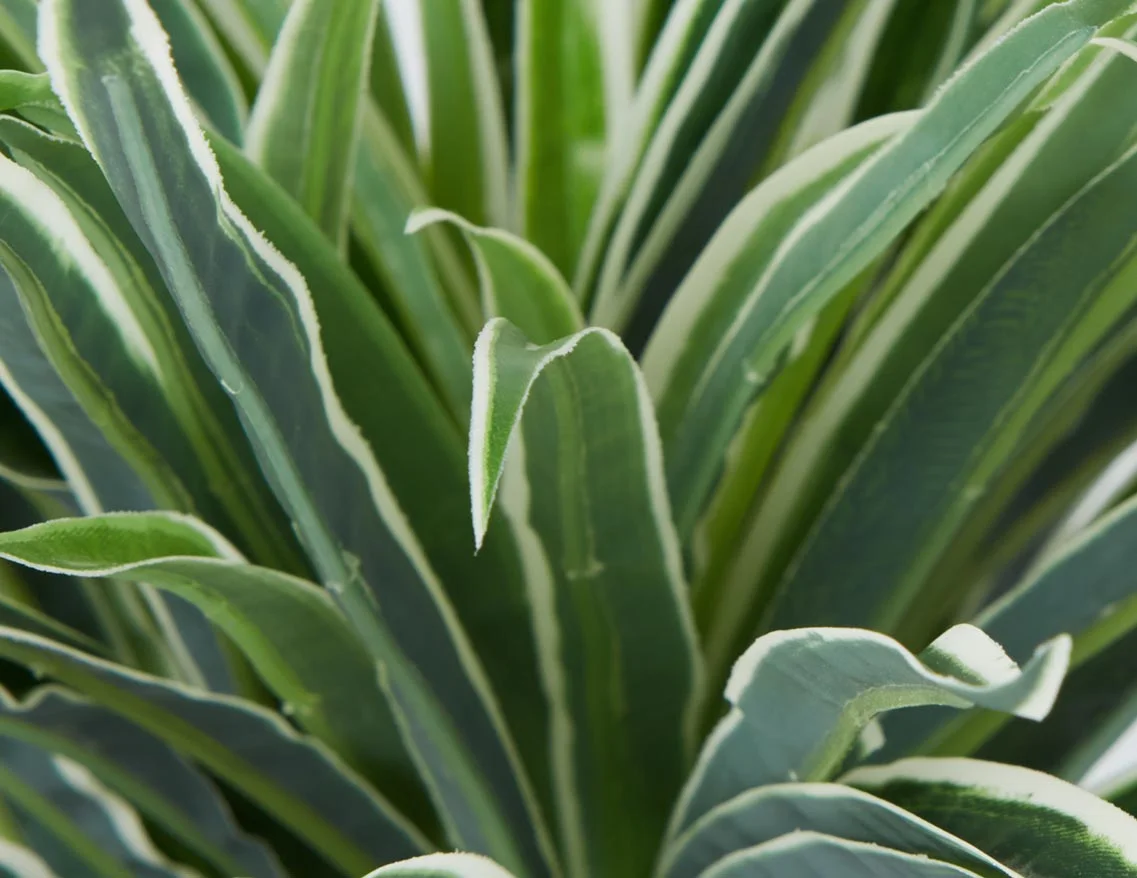 GRASS — Artificial potted plant 30 cm - Image 5
