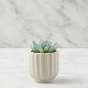 NAVA — Artificial potted plant 12 cm