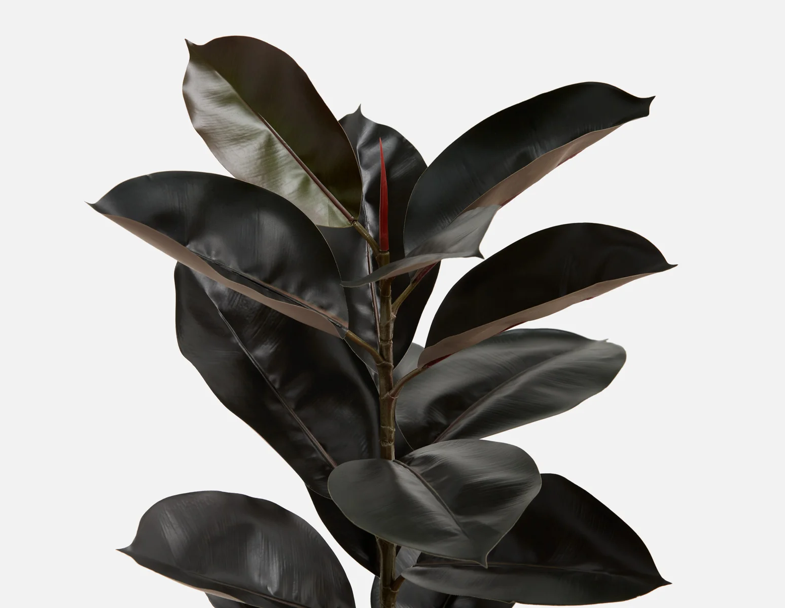 FAY — Artificial potted plant 90 cm - Image 4
