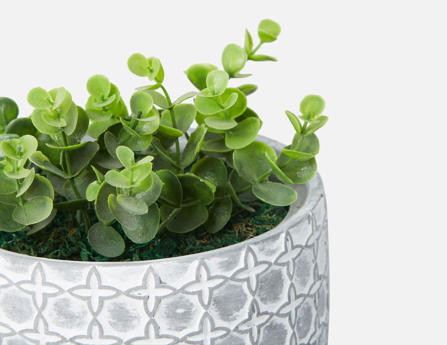LIVI I — Artificial potted plant 17 cm - Image 3
