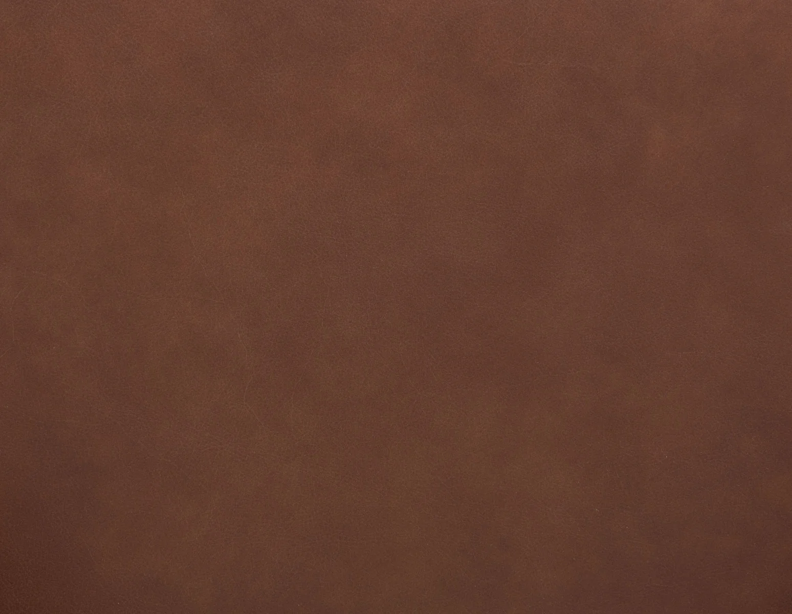 PALMA — 100% leather mid-century modern dining chair - Image 11