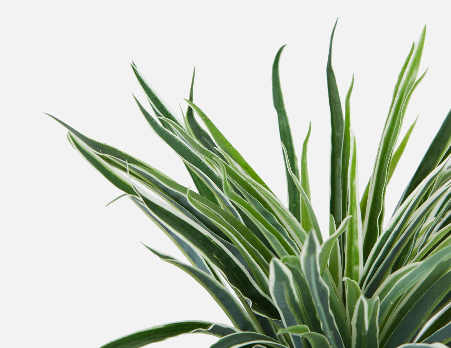 GRASS — Artificial potted plant 30 cm - Image 3