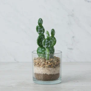 SENECIO — Artificial potted plant 19 cm