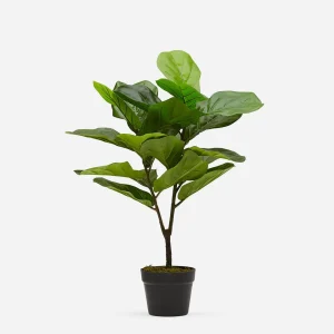 FIDDLE LEAF II — Artificial potted plant 70 cm