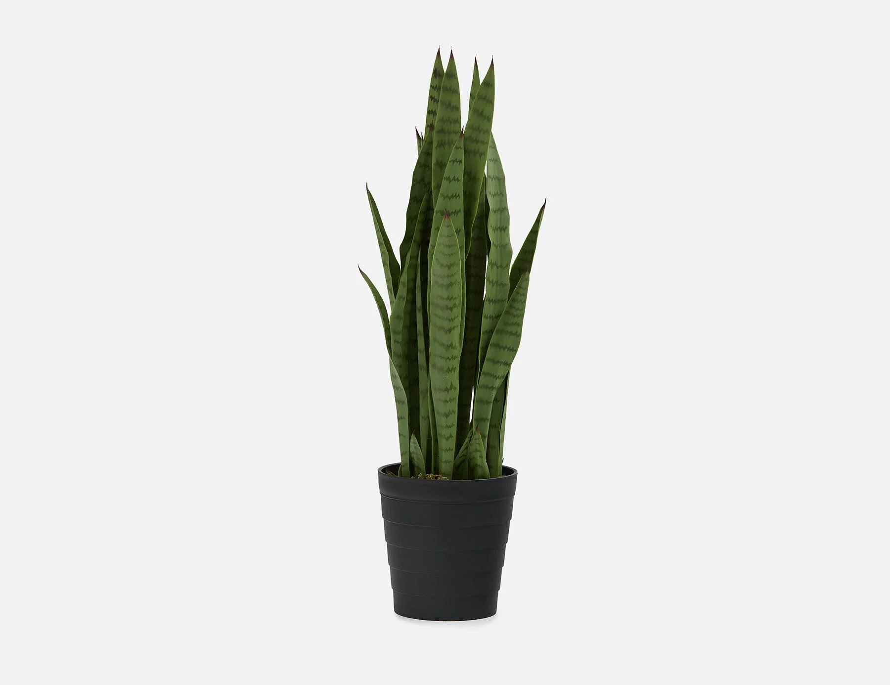 SNAKE PLANT — Artificial potted plant 94 cm - Image 6
