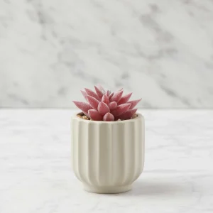 GALE — Artificial potted plant 12 cm