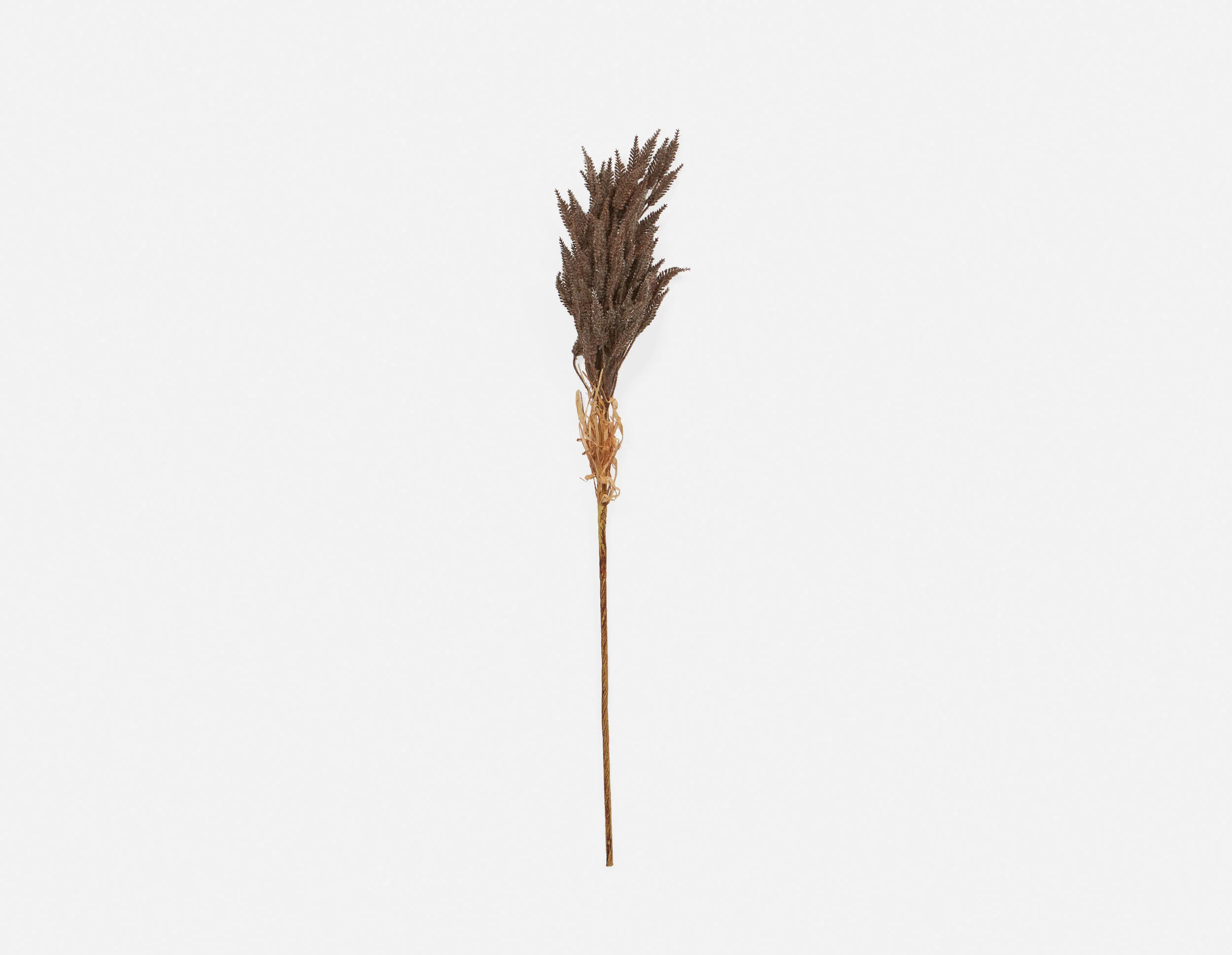 WHEAT I — Artificial plant 80 cm - Image 2