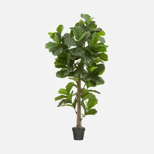 FIDDLE TREE — Artificial potted plant 190 cm