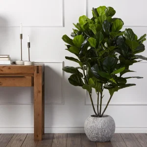 FIDDLE LEAF I — Artificial potted plant 150 cm