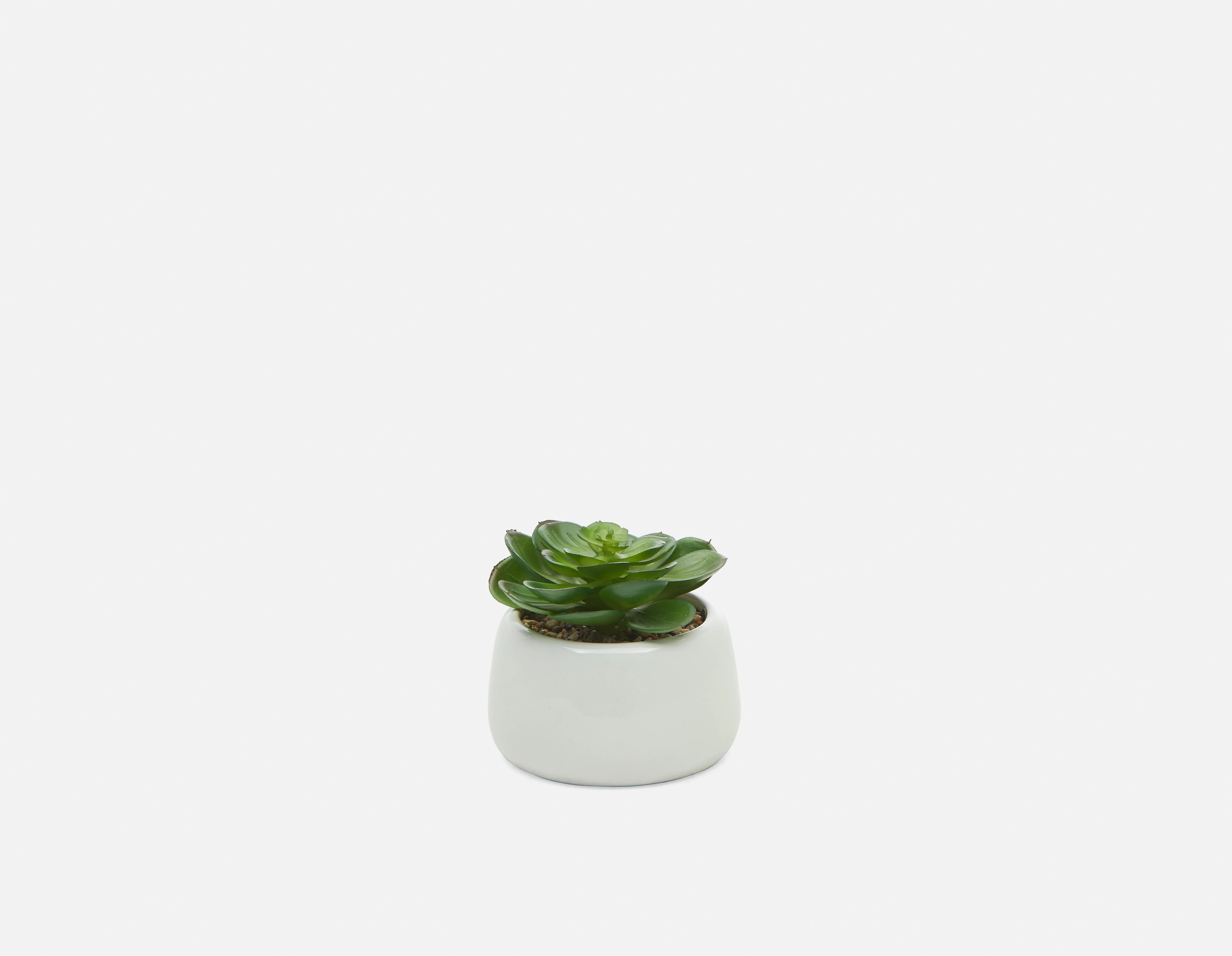 CAORY — Artificial potted plant 11 cm (93-94-67-10) - Image 2