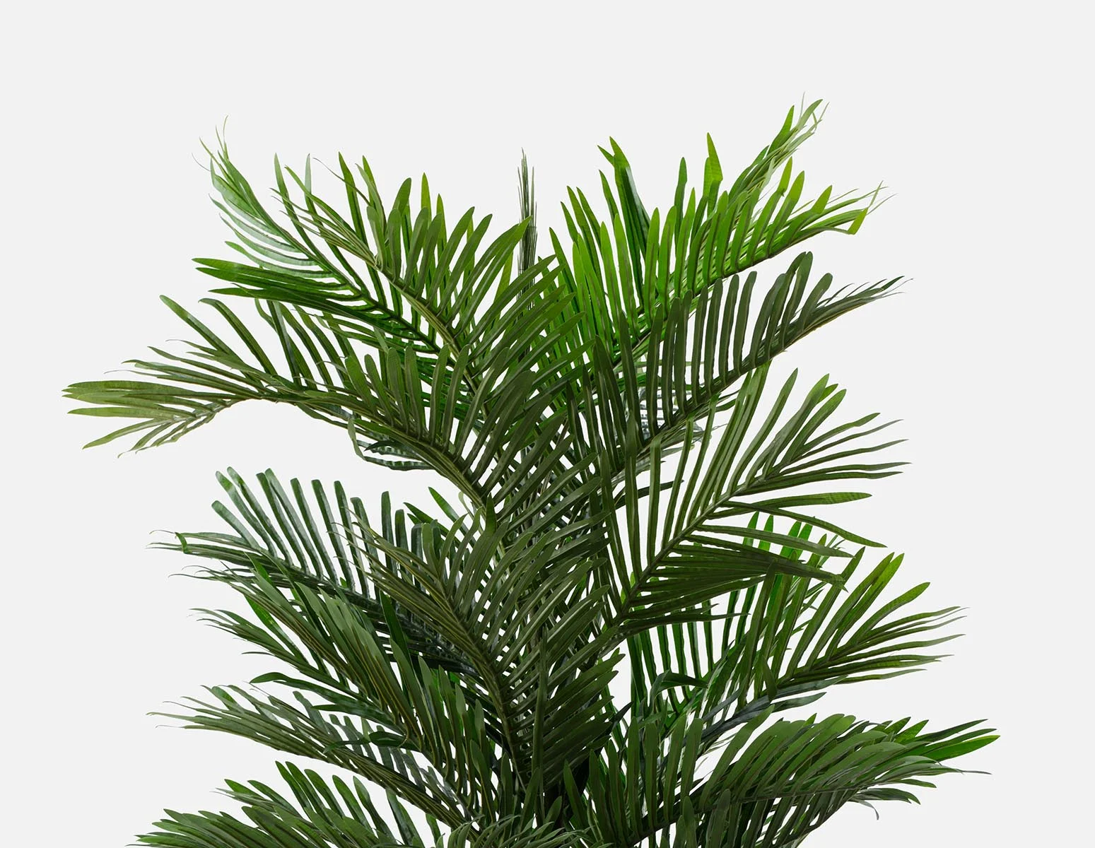 PALM — Artificial potted plant 150 cm - Image 8