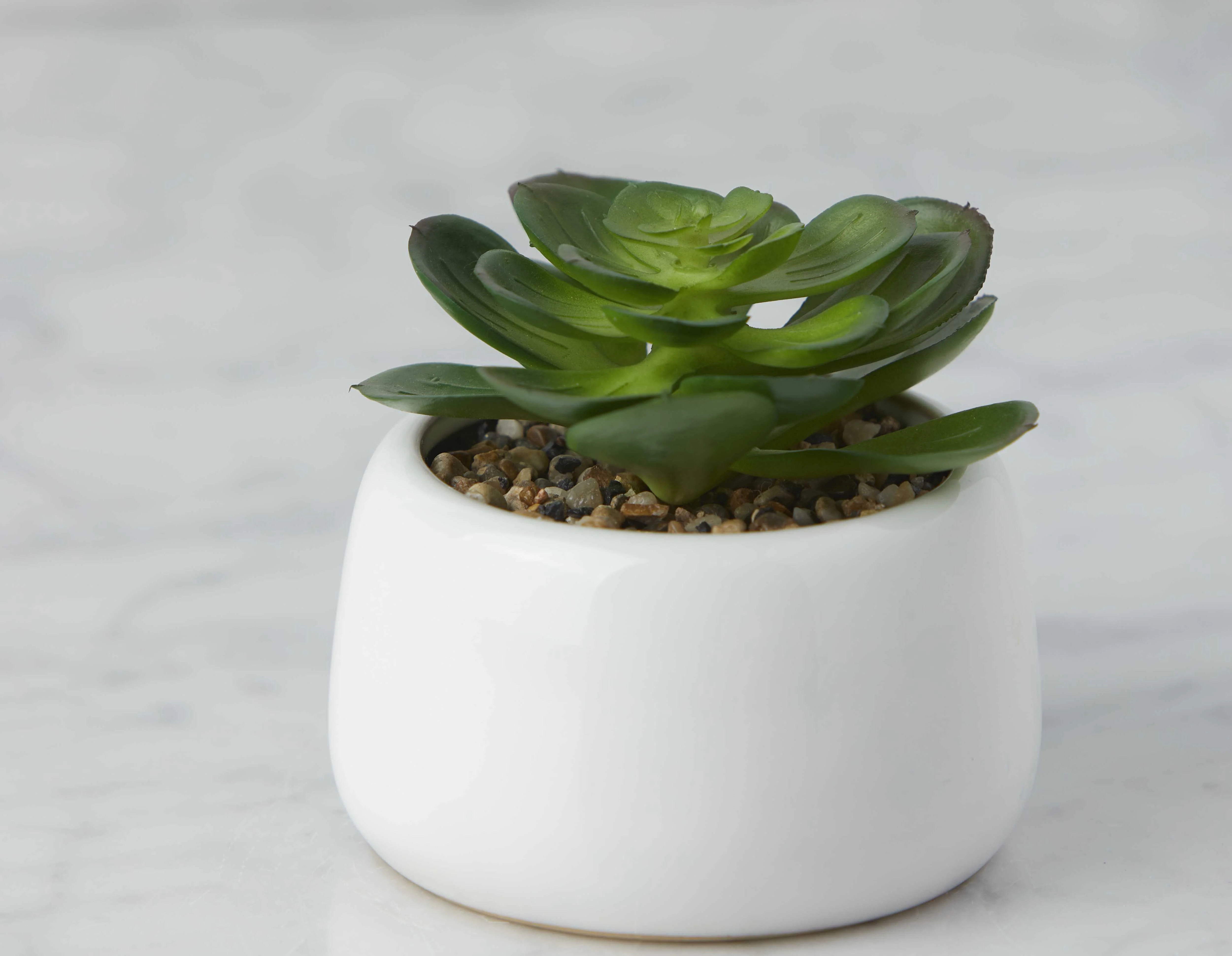 CAORY — Artificial potted plant 11 cm (93-94-67-10) - Image 3