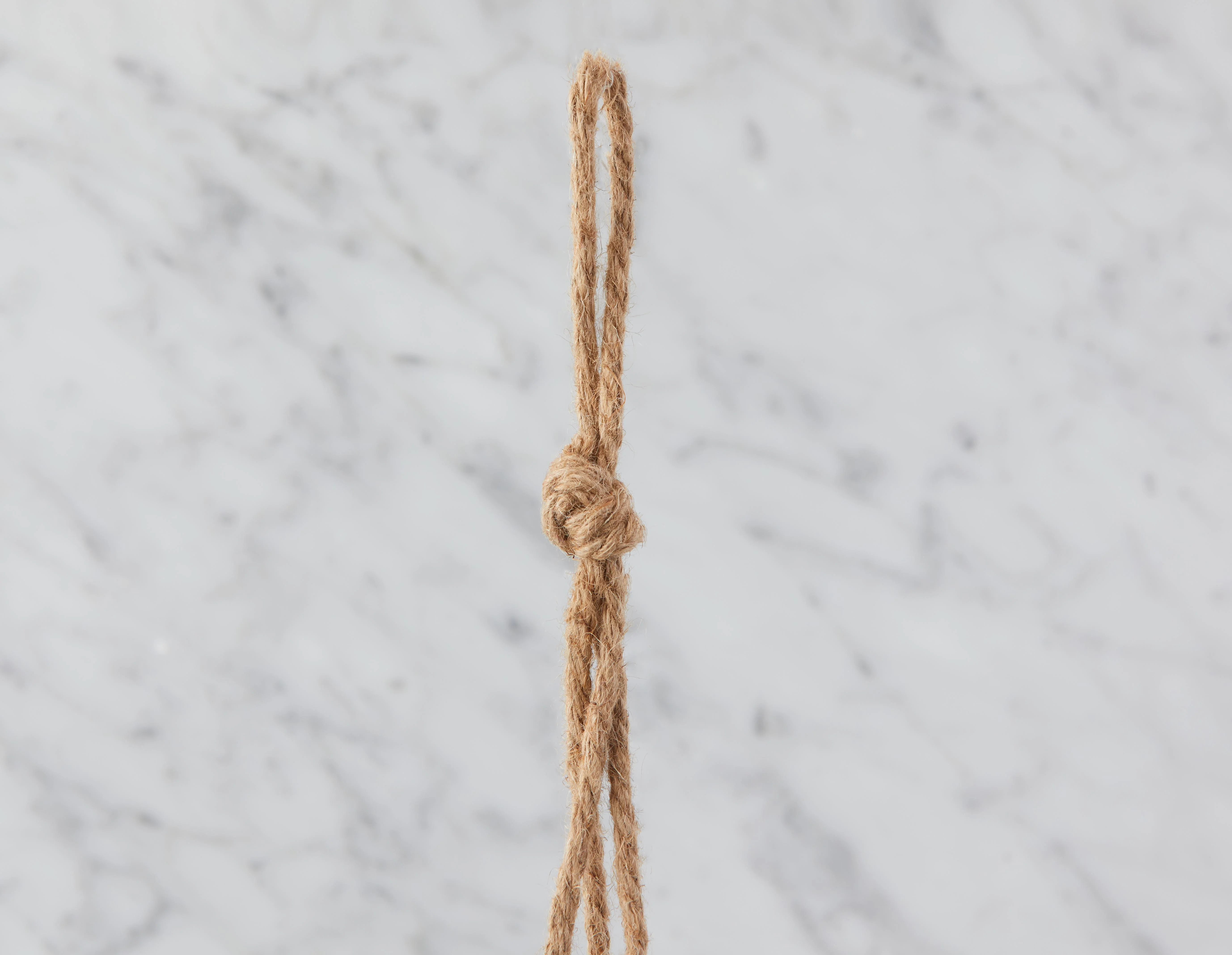 BRYCE — Hanging maize planter - Image 2