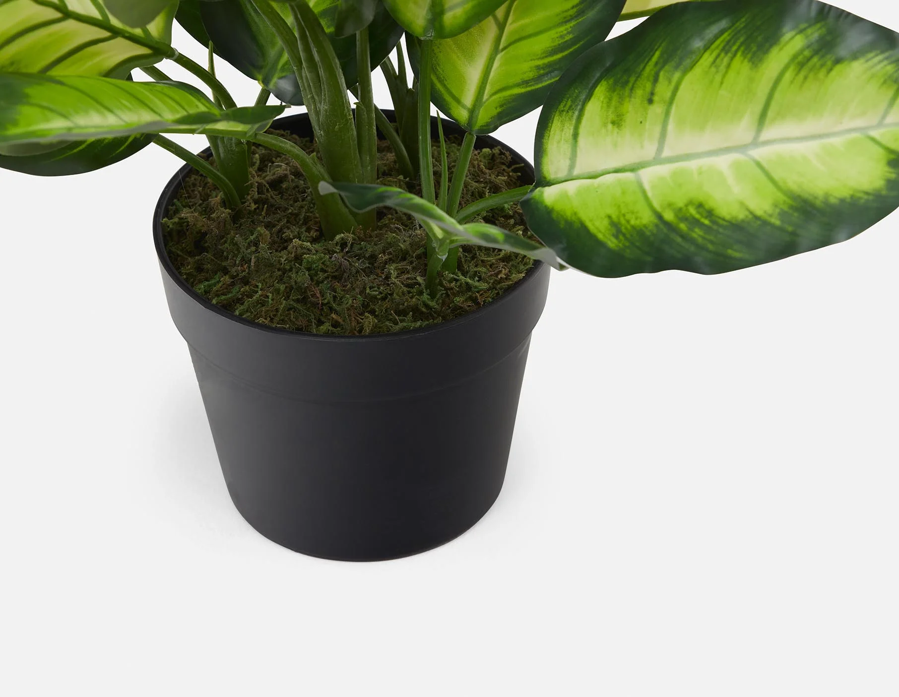 ALIX — Artificial potted plant 50 cm - Image 2