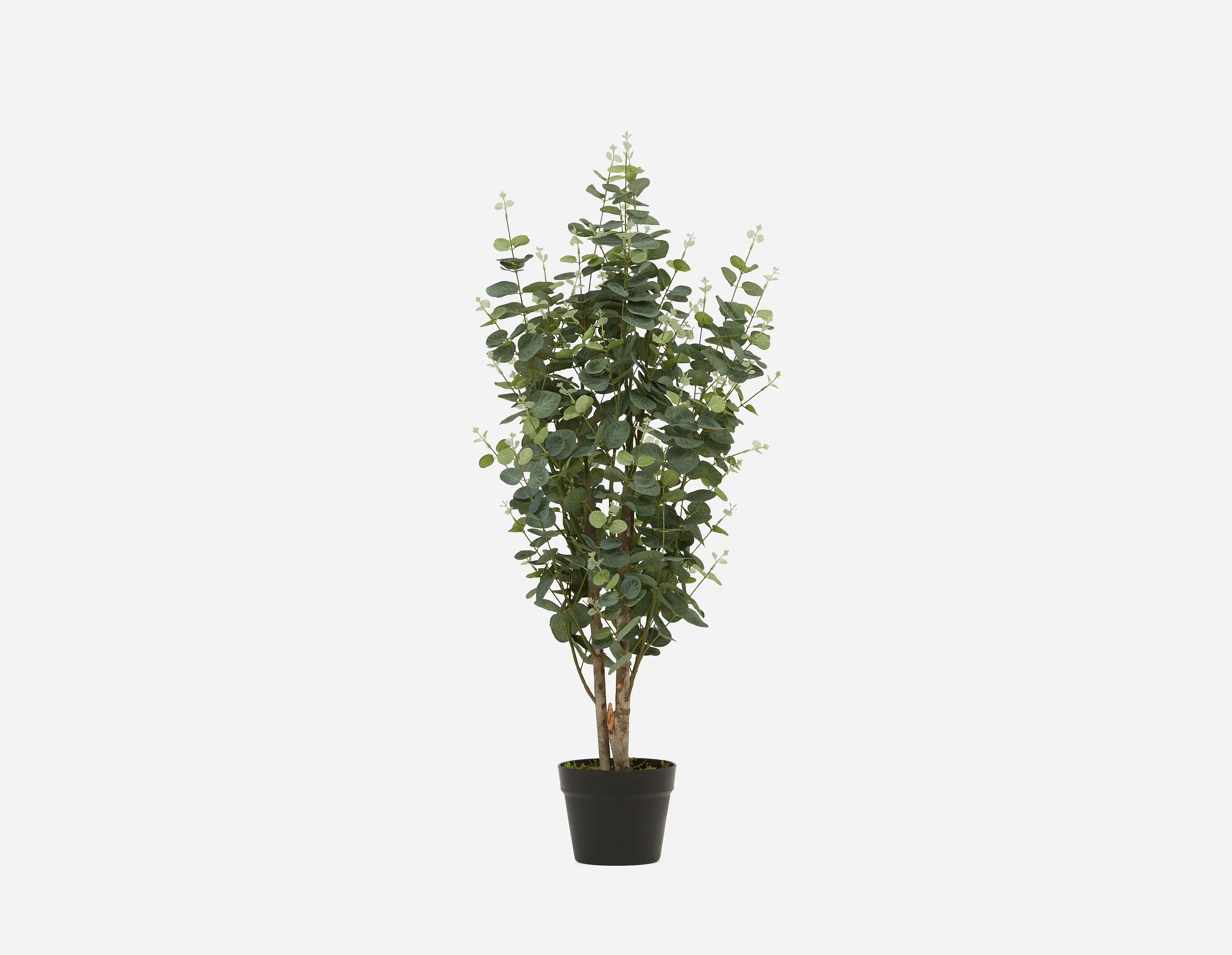 EUCALYPTUS III — Artificial potted plant 95cm - Image 6