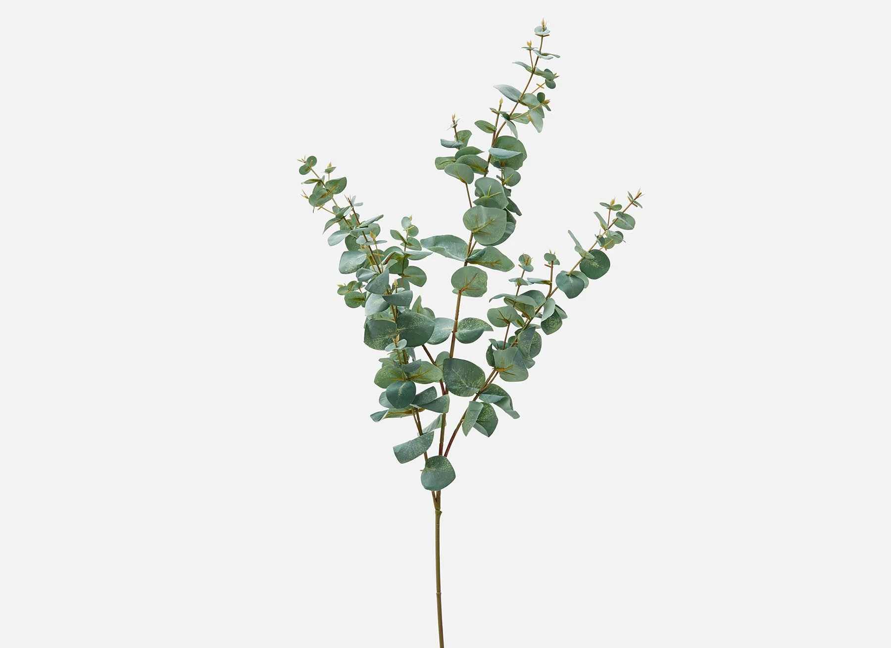 EUCALYPTUS — Artificial plant 115 cm - Image 2