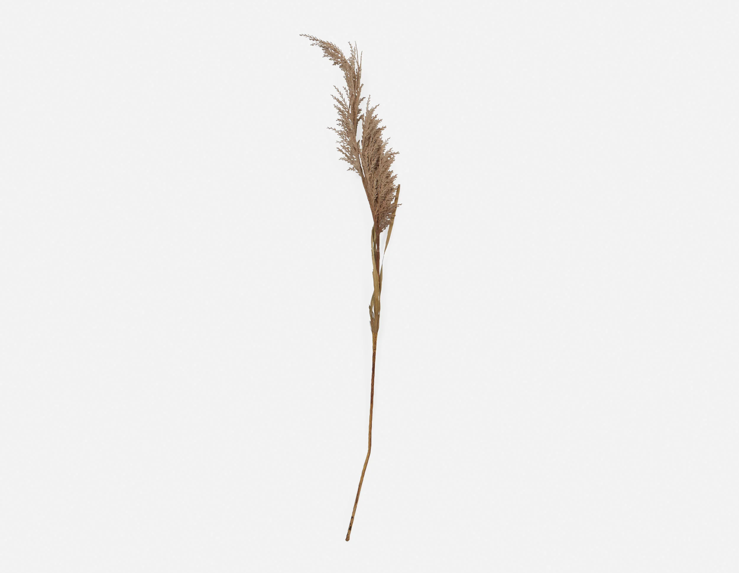 PAMPAS I — Artificial plant 107 cm - Image 2