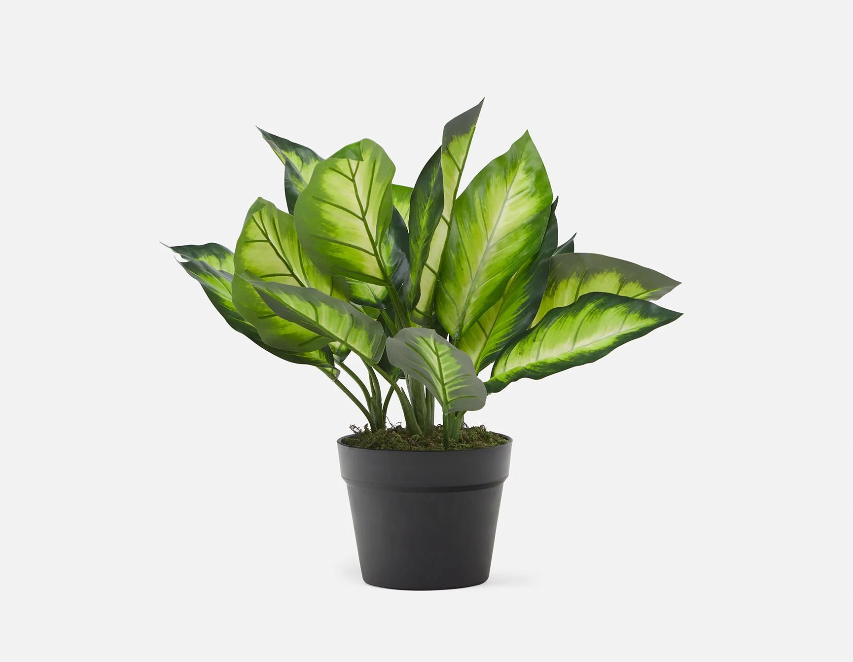 ALIX — Artificial potted plant 50 cm - Image 5