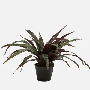 LEE — Artificial potted plant 50 cm