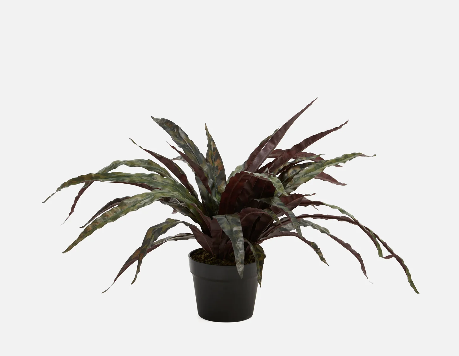 LEE — Artificial potted plant 50 cm