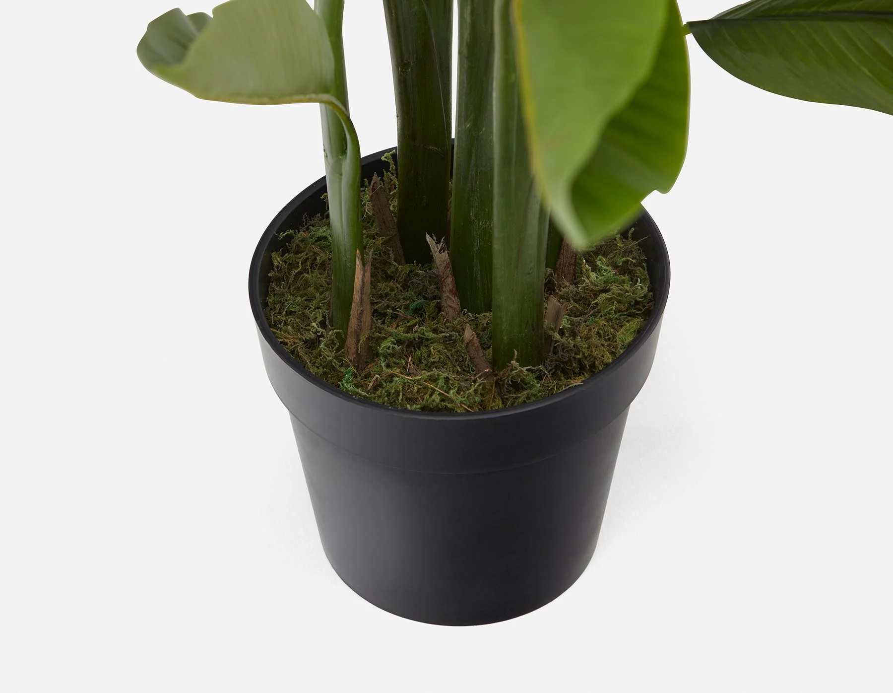 ALISA — Artificial potted plant 140 cm - Image 2