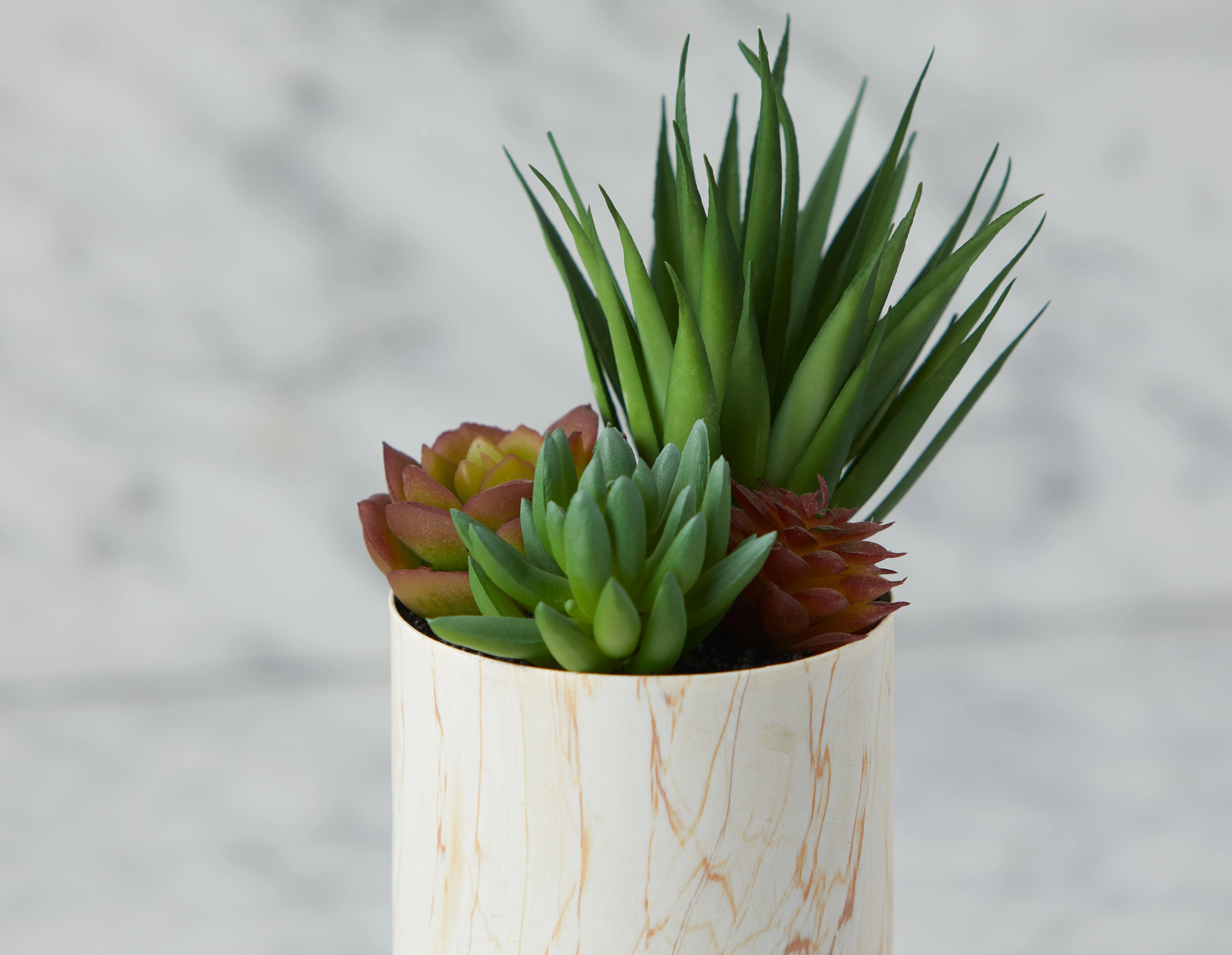 TAWNEY — Artificial potted plant 25 cm - Image 3